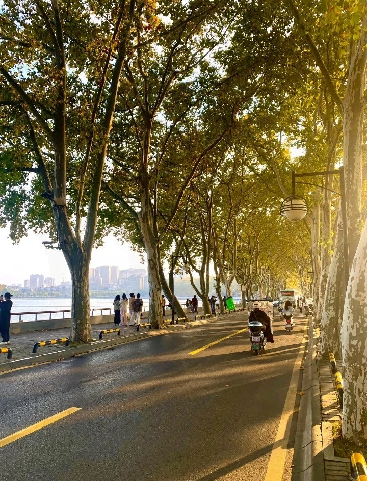3-Day Suzhou: Zhouzhuang Night, Classical Gardens & Modern City Journey