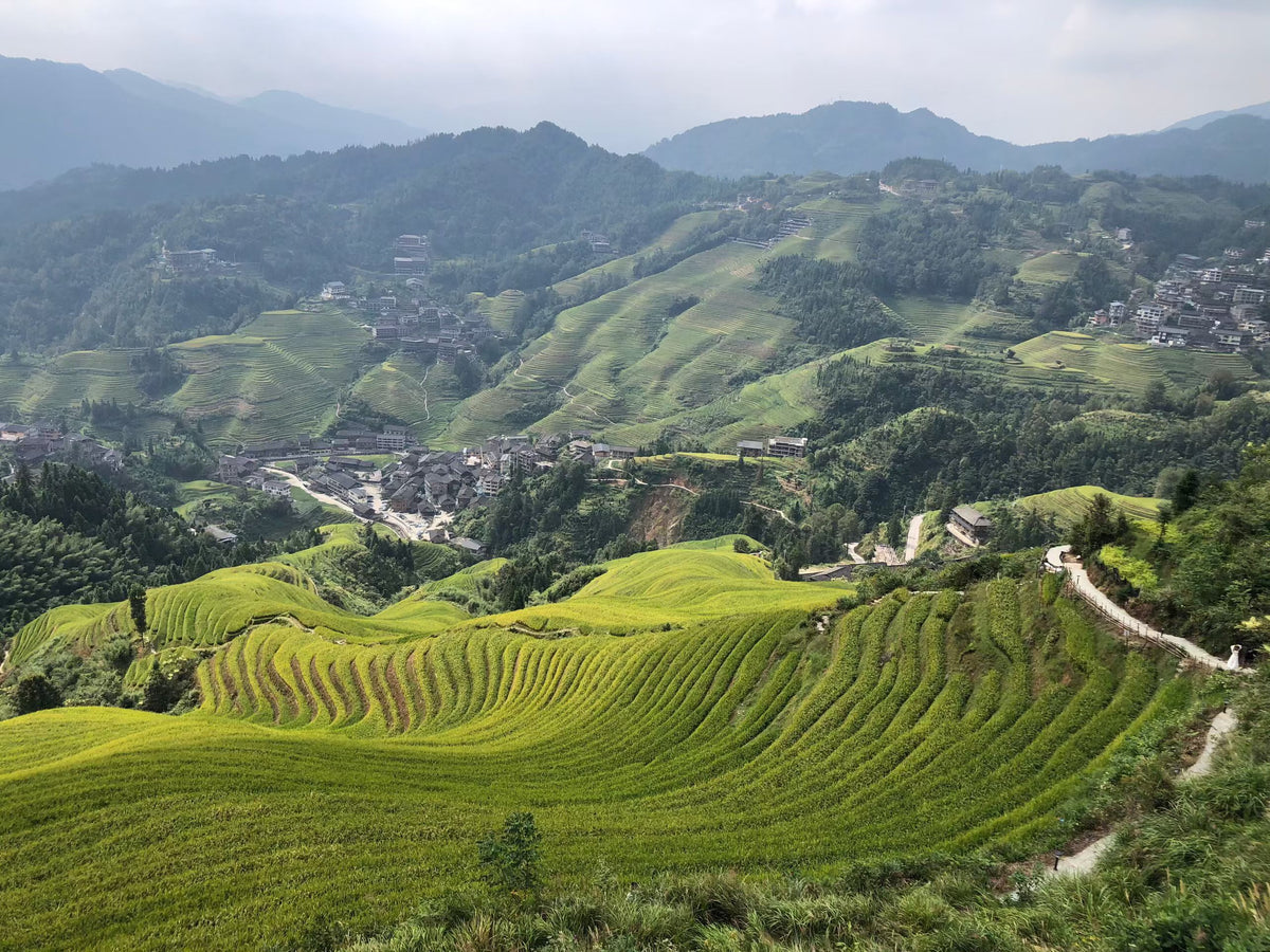 4-Day Guilin, Yangshuo & Longji Rice Terraces Deep Experience