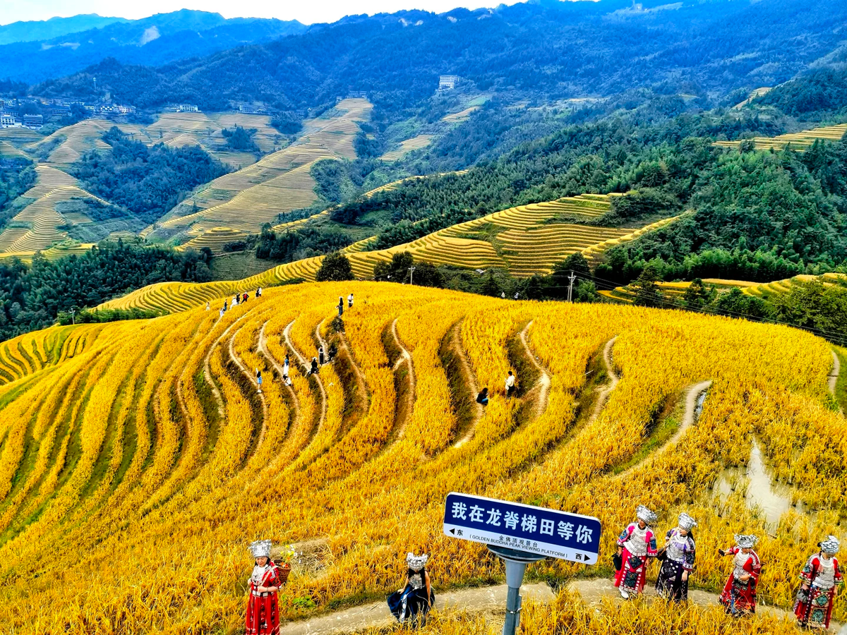 Guilin · Yangshuo · Longji Rice Terraces