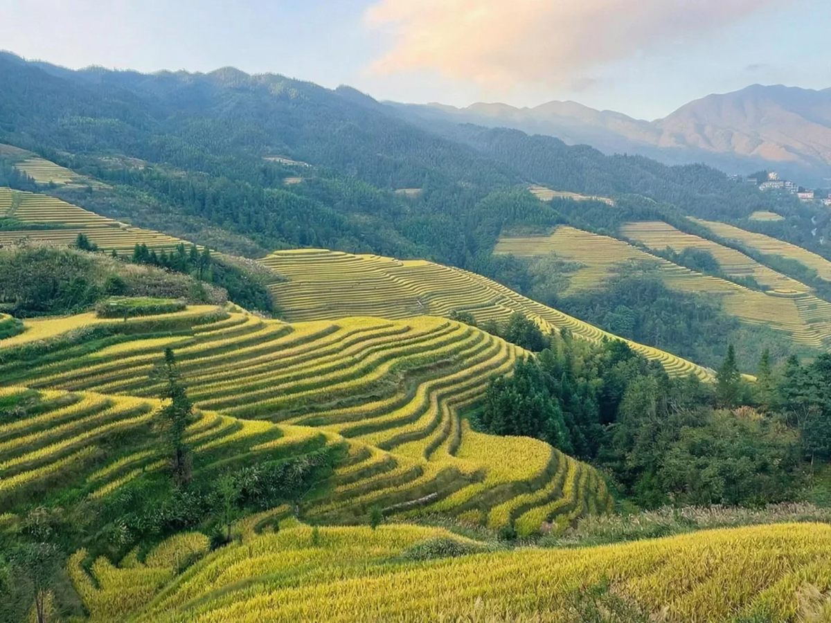 Guilin · Yangshuo · Longji Rice Terraces