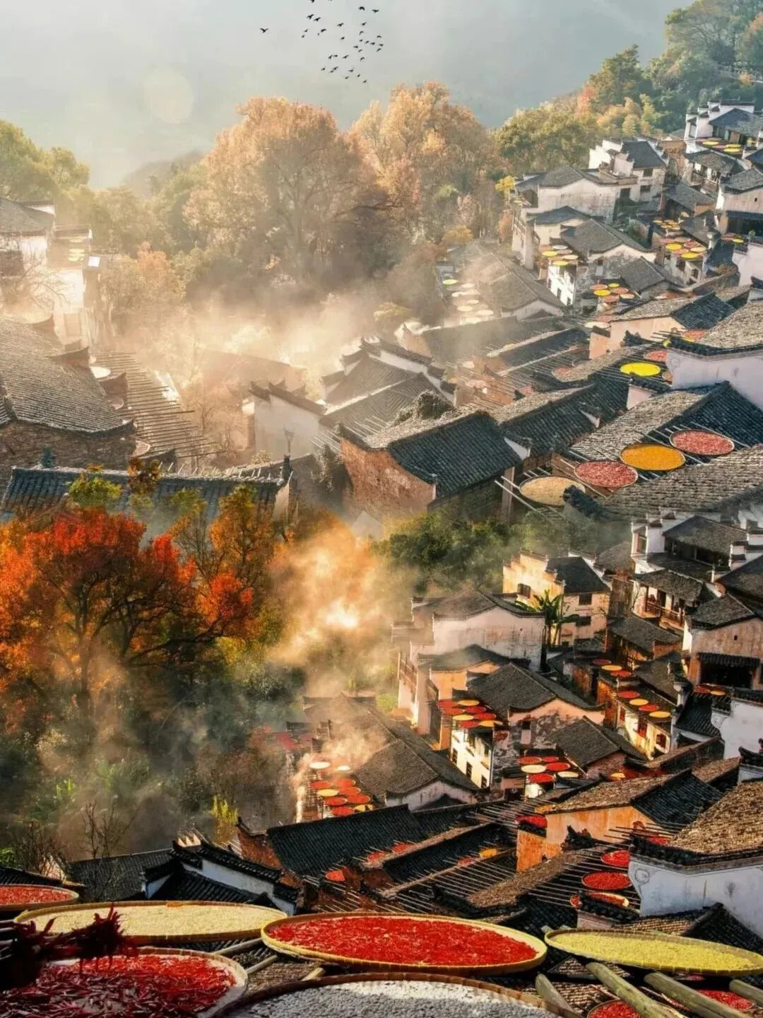 葛仙山 · 望仙谷 · 三清山 · 五女洲 · 黄陵 4日游