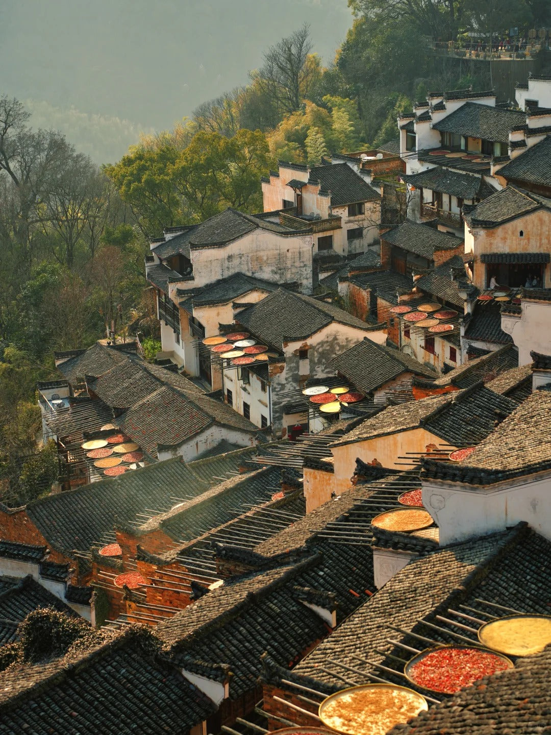 3-Day Tour of Wangxian Valley and Wunuzhou