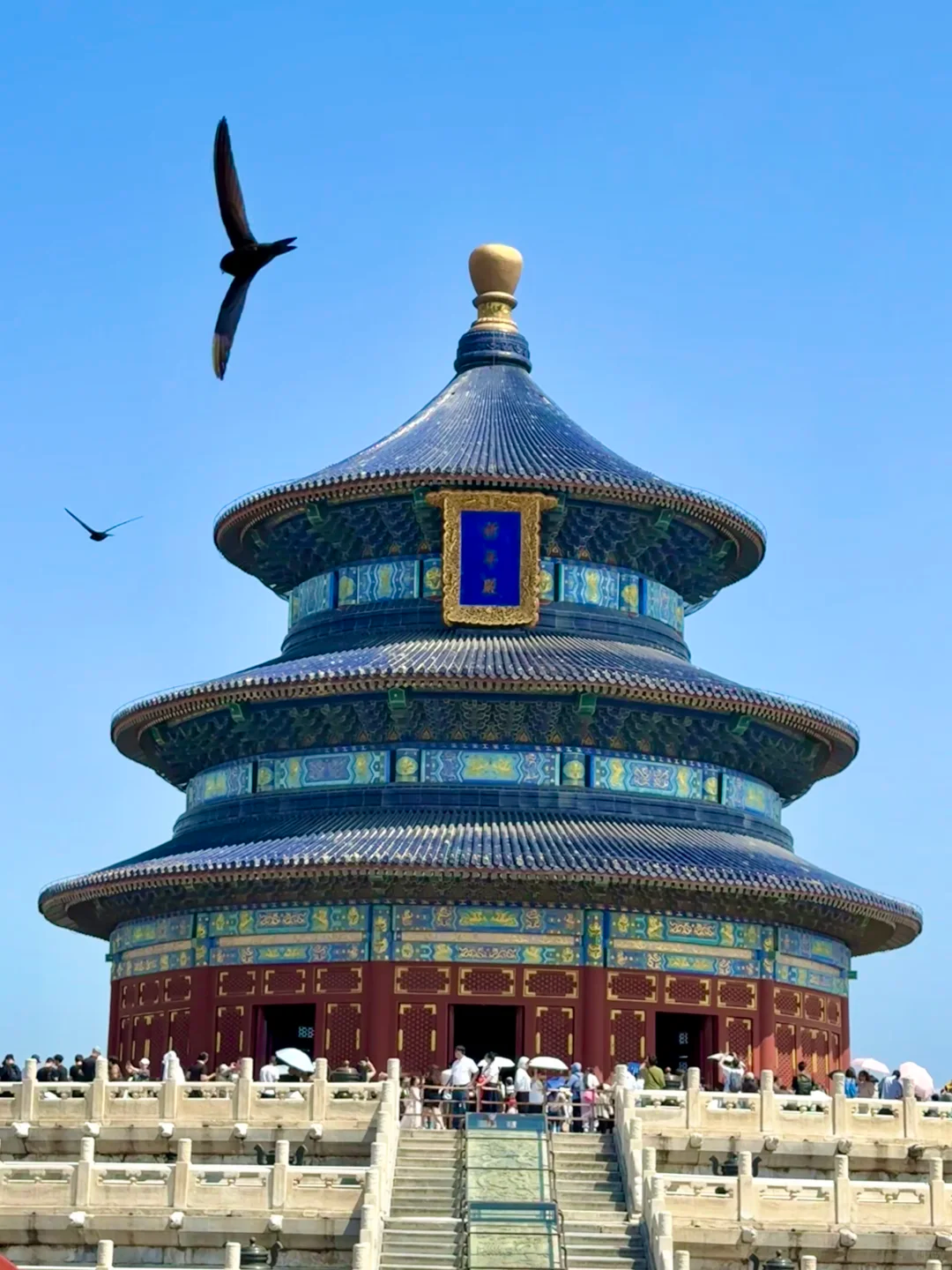 5-Day Classic Beijing: Imperial Heritage, Great Wall & Local Culture Journey