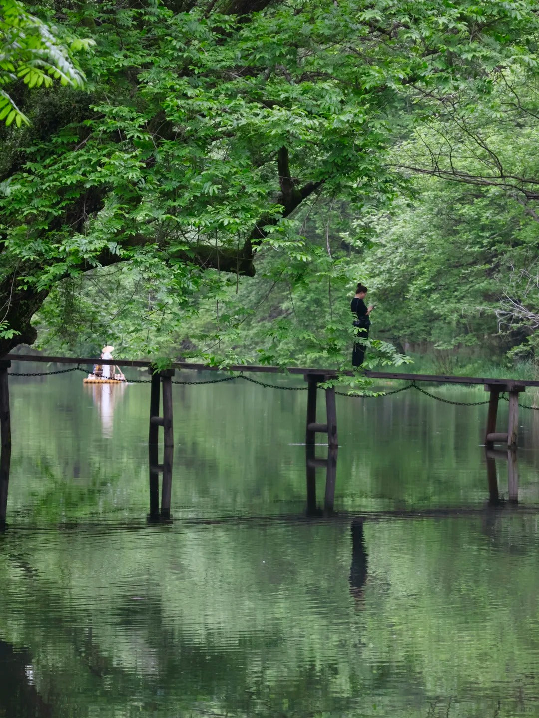 Circuit de 5 jours : Festin de paysages majestueux à Huangshan