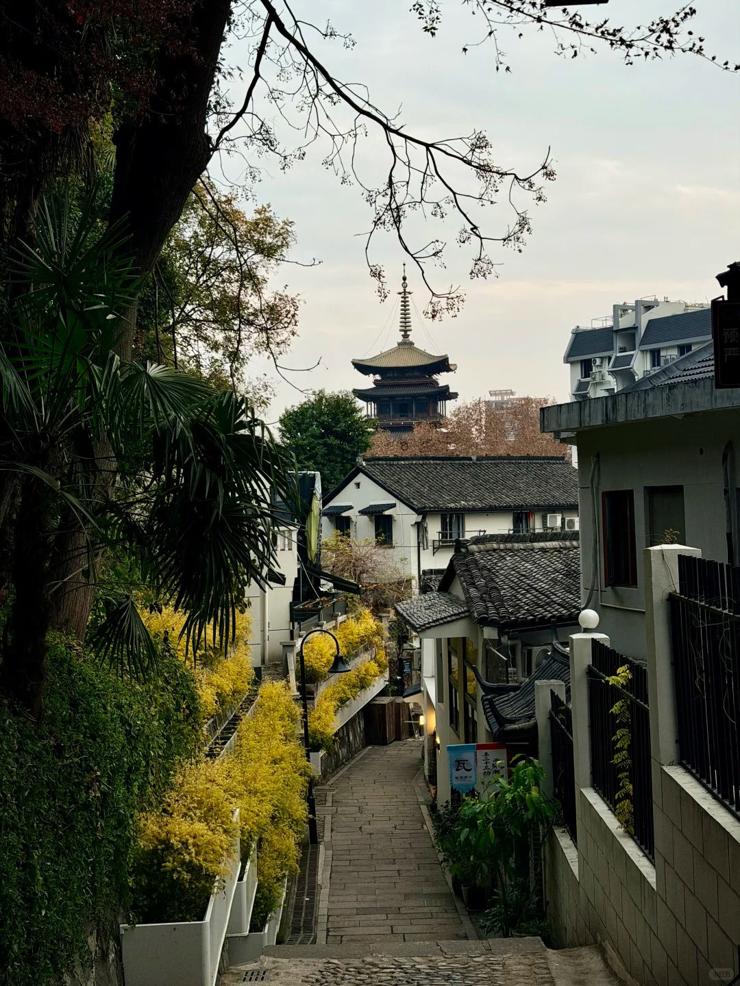 Visite privée de 6 jours à Youlemei