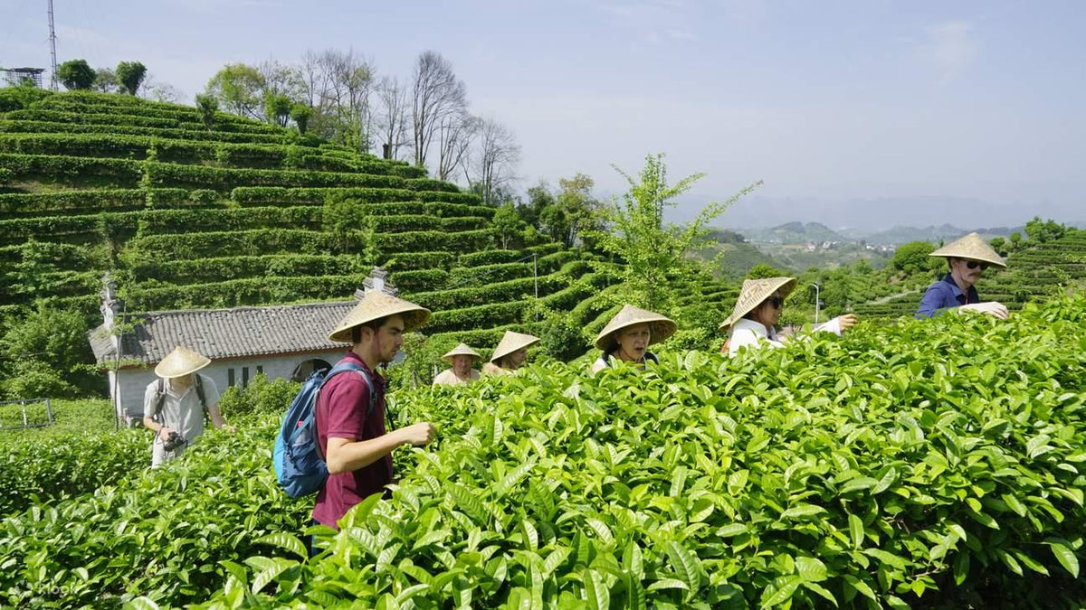 4-Day Guilin, Yangshuo & Longji Rice Terraces Deep Experience