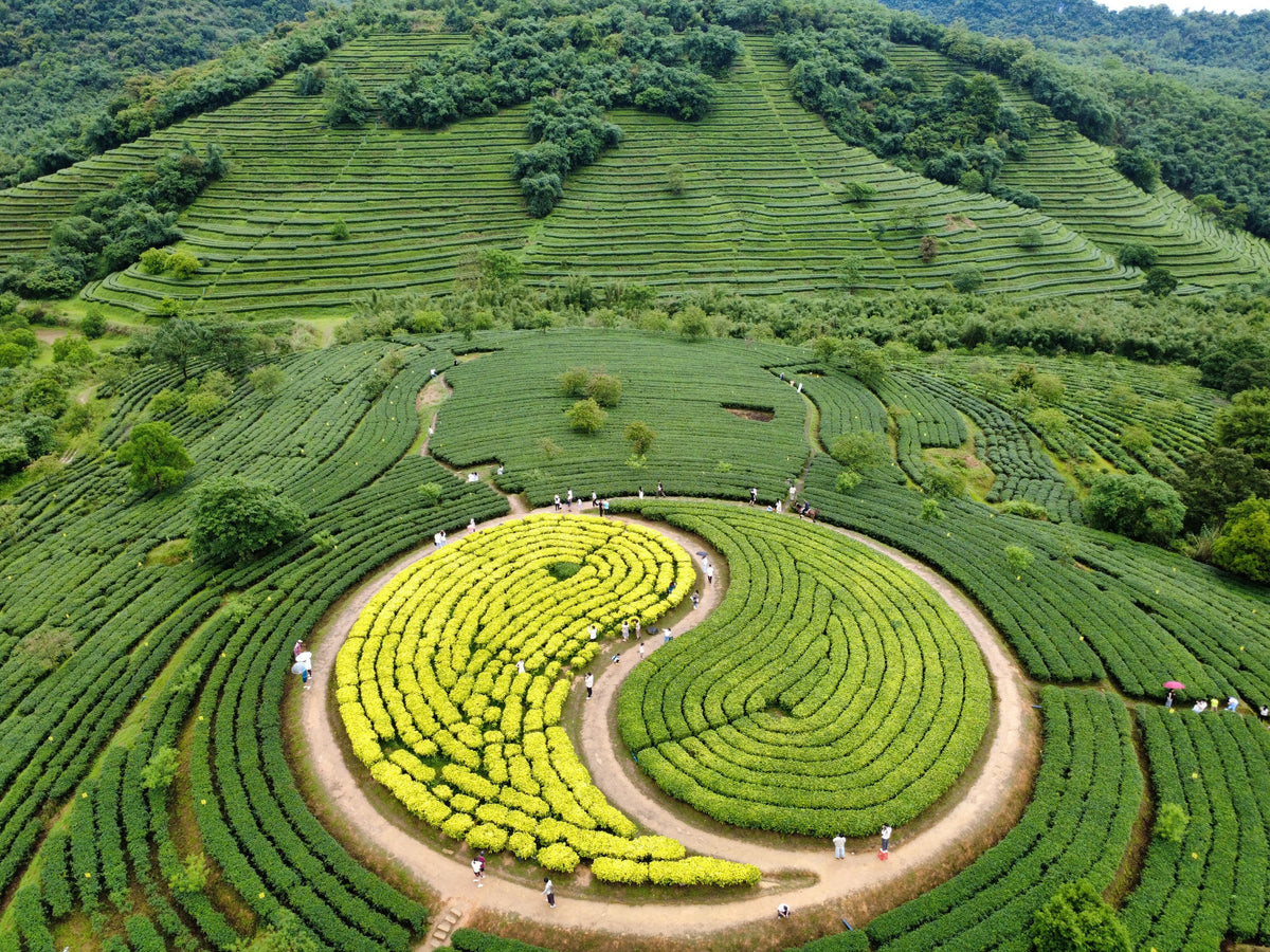 7-Day South China Family Discovery Tour