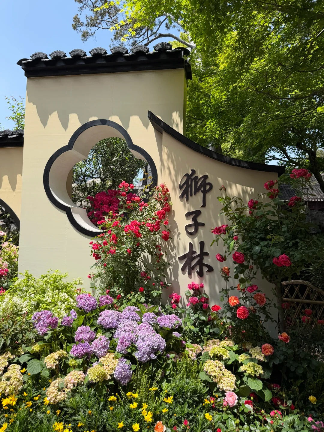 Visite privée de 6 jours à Youlemei