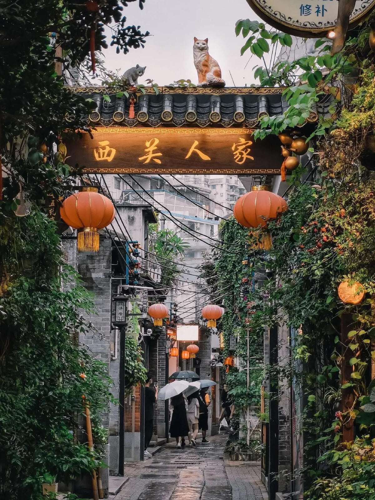 7-Day South China Family Discovery Tour