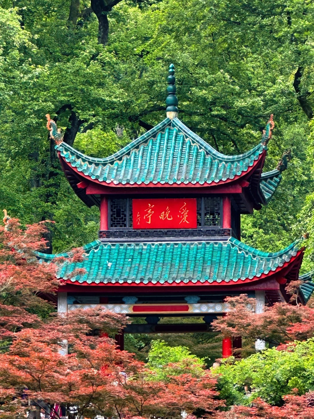 3-Day Premium Changsha Private Tour